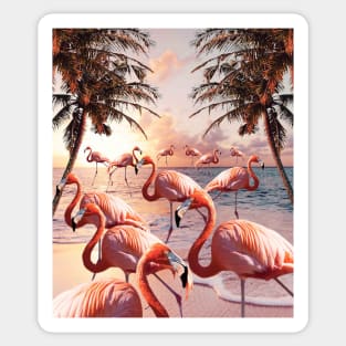 Flamingo Palm, Flamingos On Beach, Sunset Trees Sticker
